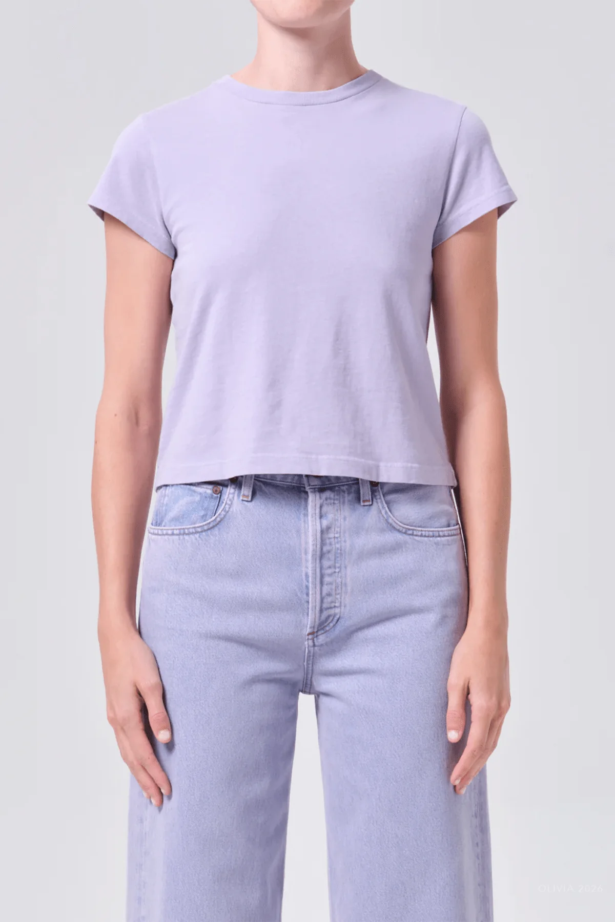 Adine Shrunken Tee in Lilac - Image 2