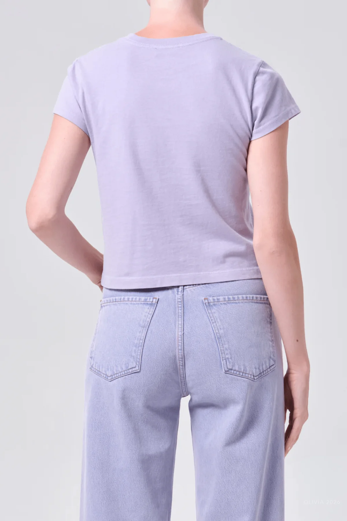 Adine Shrunken Tee in Lilac - Image 3