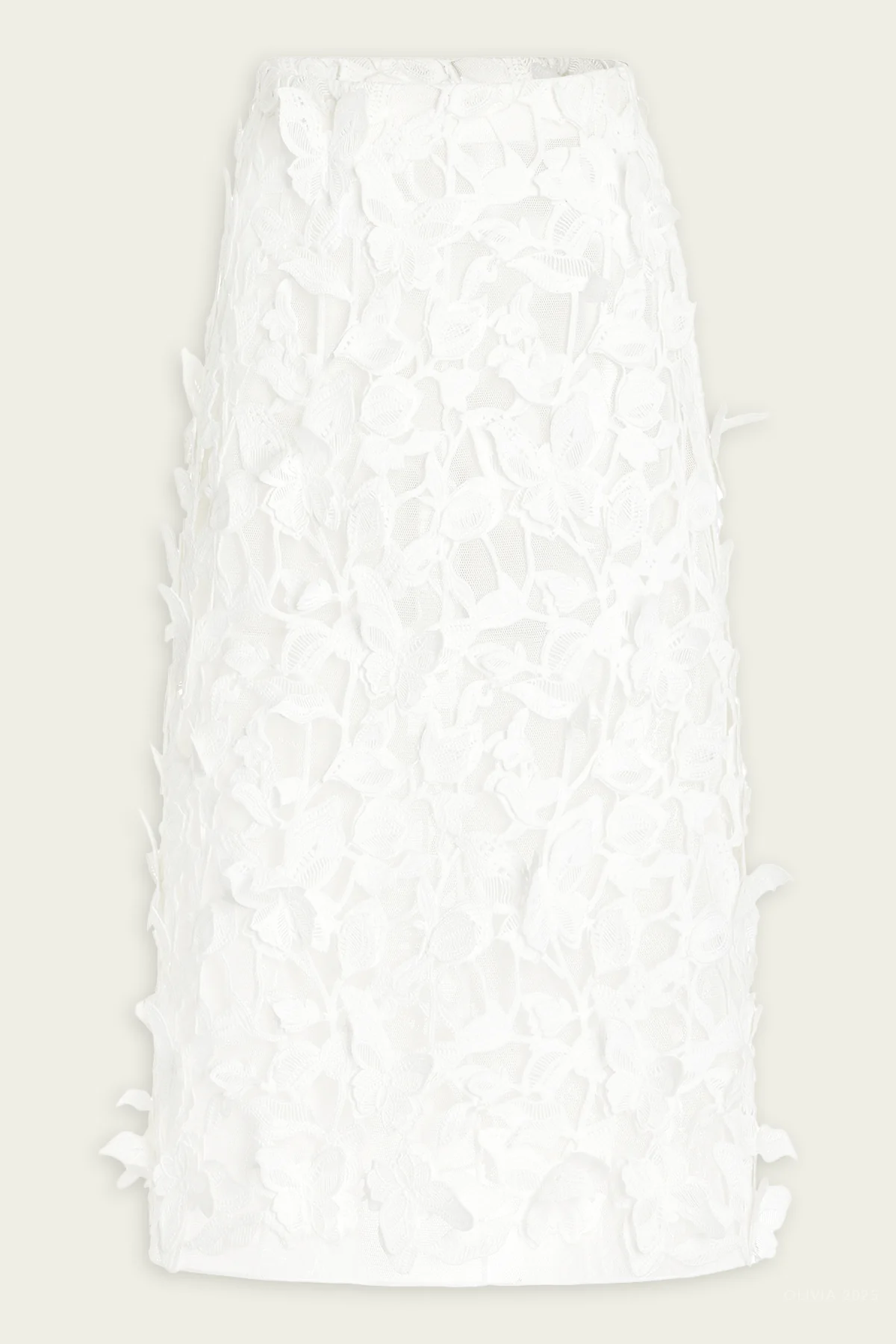 Ambrosia Applique Midi Skirt in White