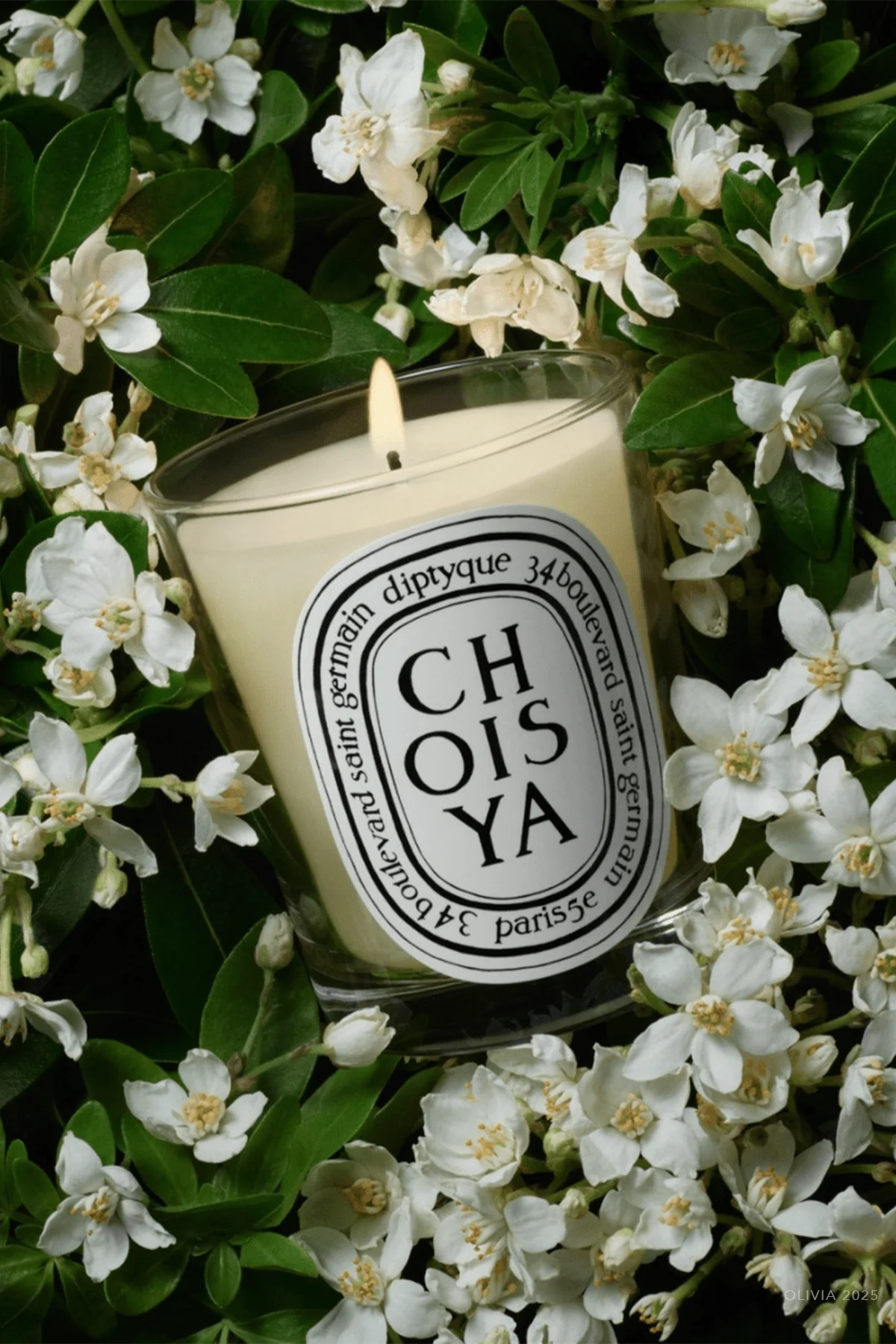 Choisya Classic Candle 6.5oz - Image 2