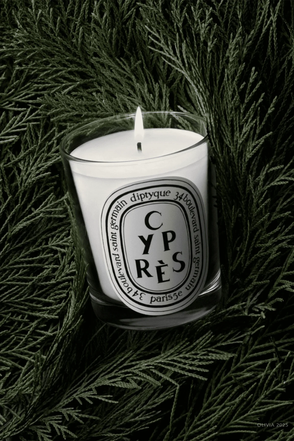 Cypres Classic Candle 6.5oz - Image 2