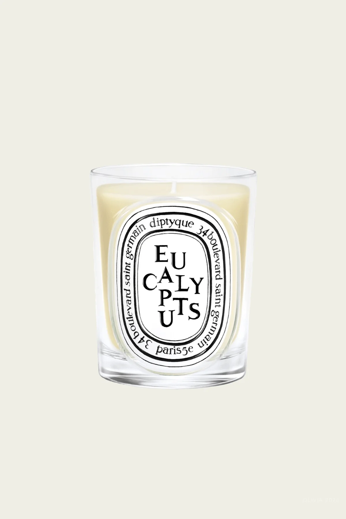 Eucalyptus Classic Candle 6.7oz - NEW VERSION