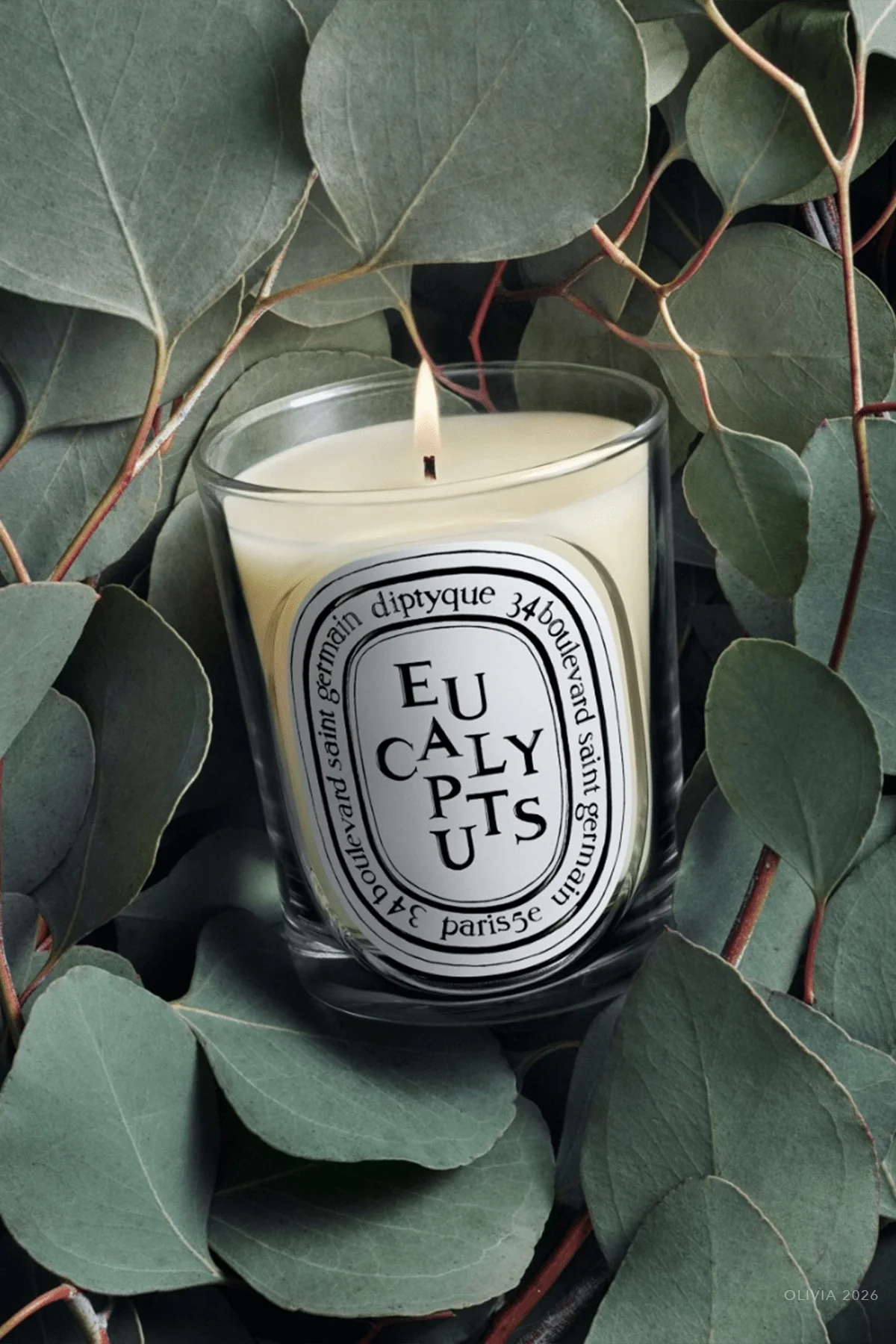 Eucalyptus Classic Candle 6.7oz - NEW VERSION - Image 2