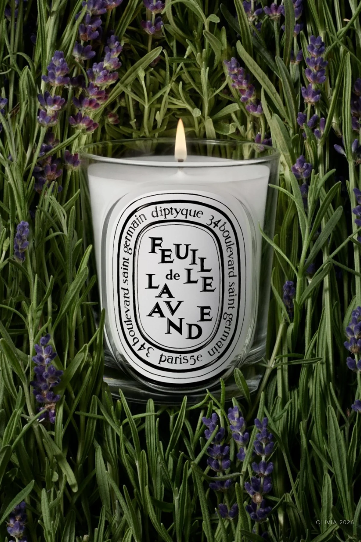 Feuille de Lavande Classic Candle 6.7oz - NEW VERSION - Image 2