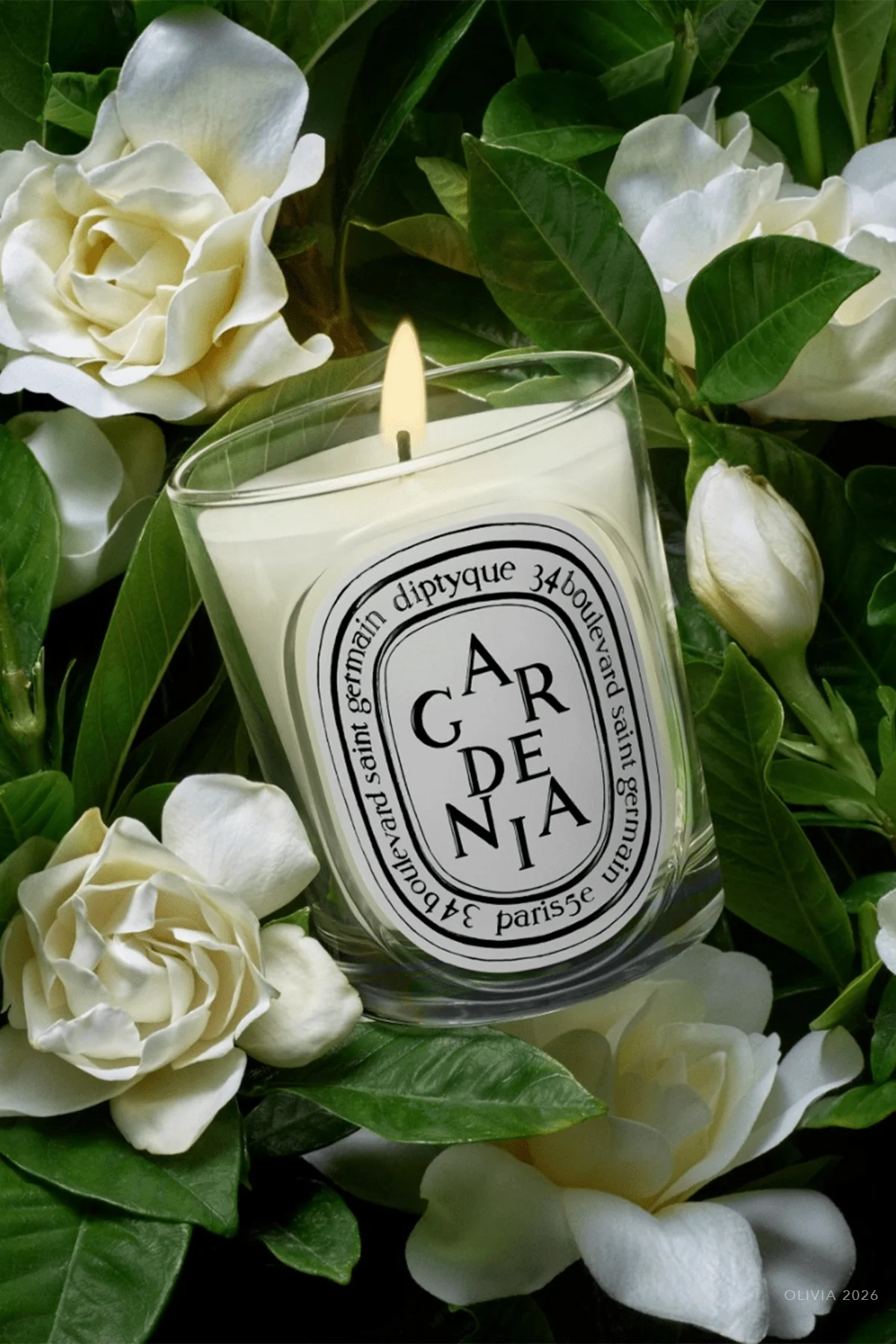 Gardenia Classic Candle 6.7oz - NEW VERSION - Image 2