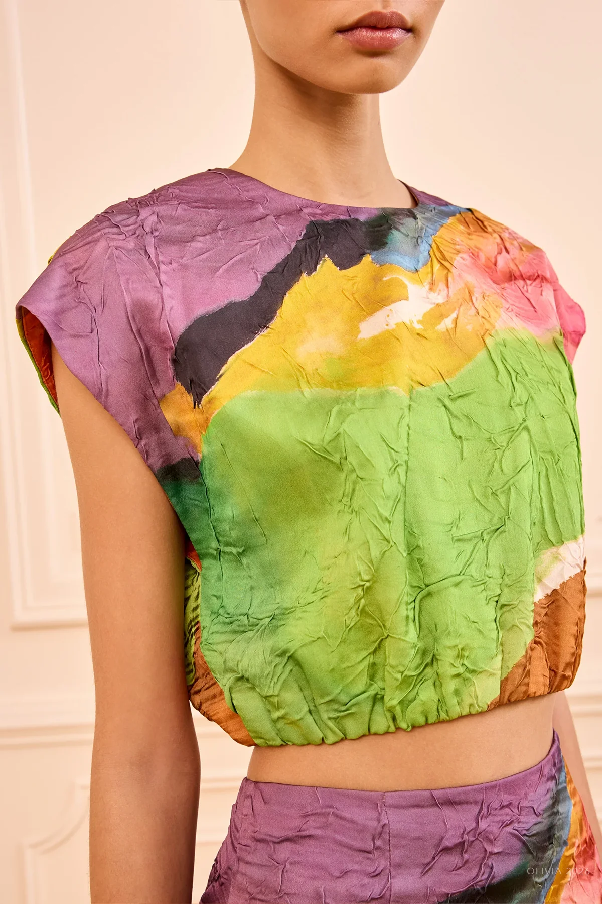 Gisella Satin Crop Top in Nature Abhors A Vacuum - Image 4