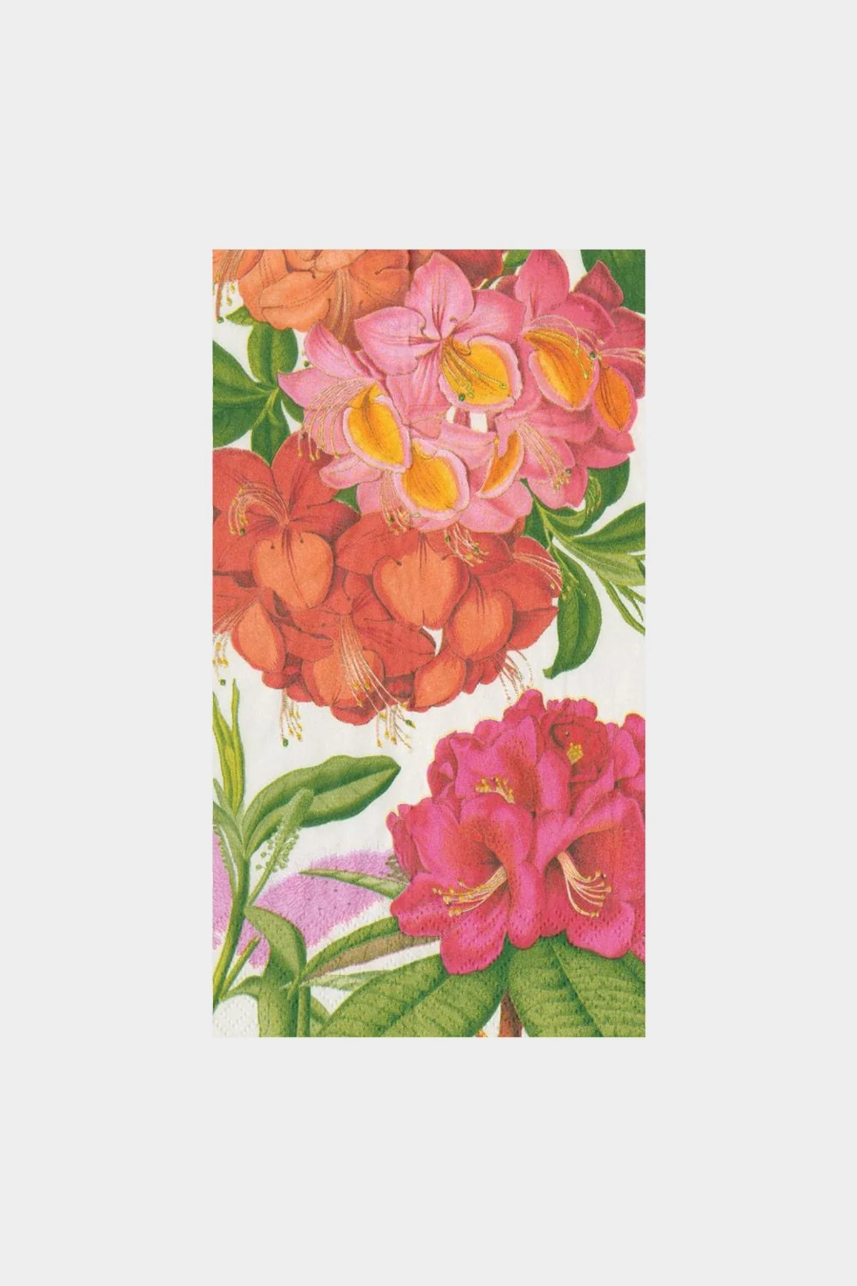 Jefferson's Garden Study Paper Guest Towel Napkins in White