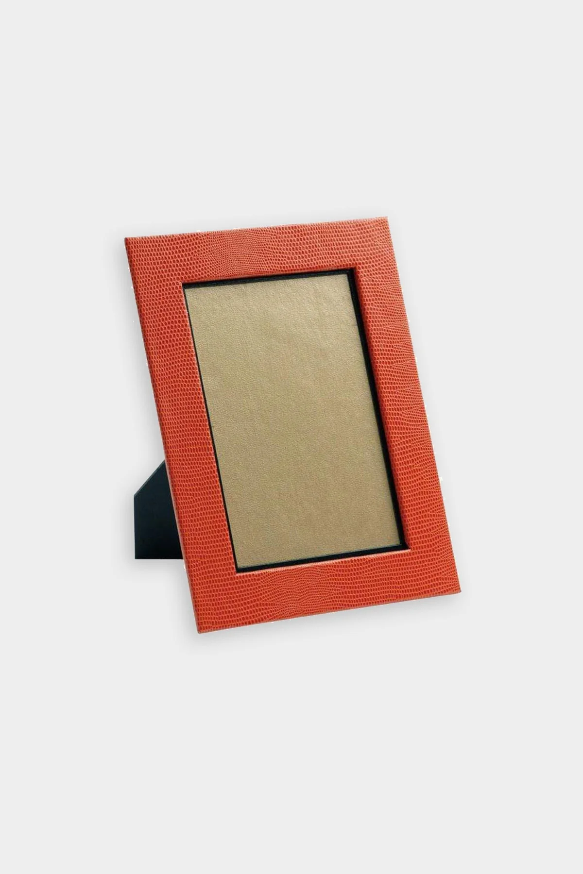 Lizard 4" x 6" Picture Frame in Orange