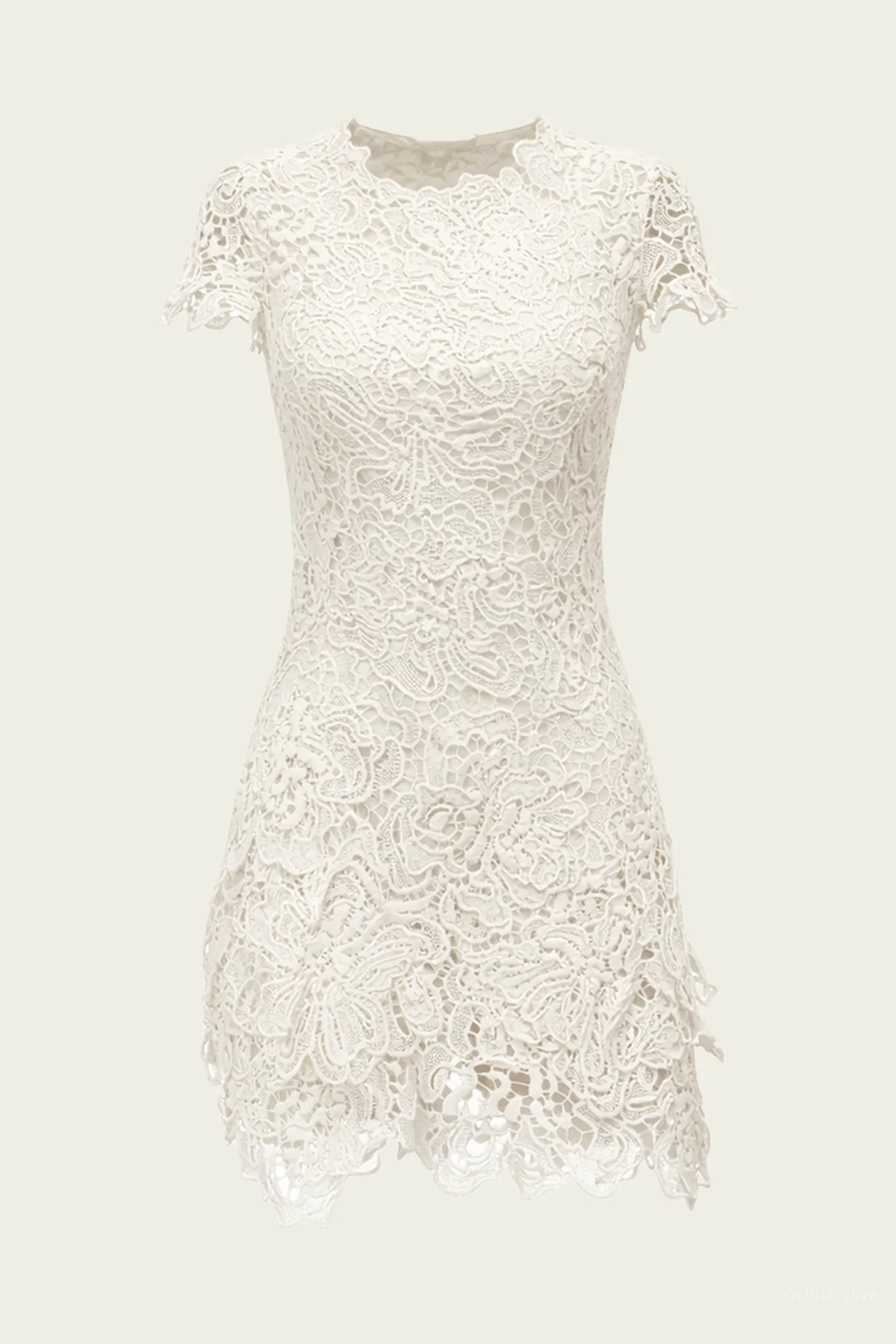 Novelle Lace Mini Dress in White