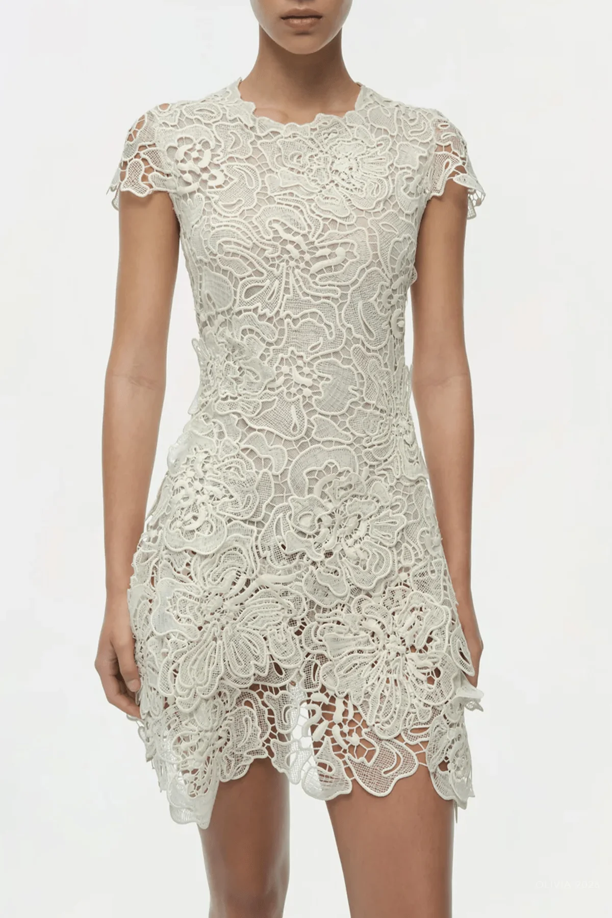 Novelle Lace Mini Dress in White - Image 2