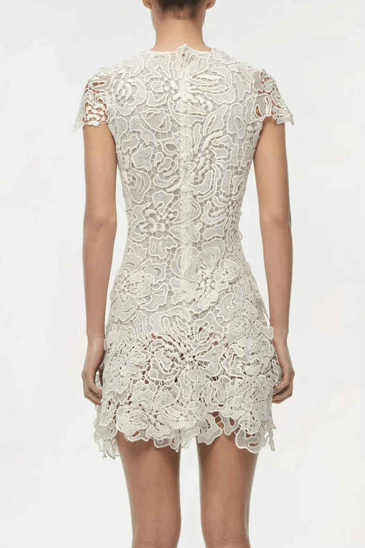 Novelle Lace Mini Dress in White - Image 3