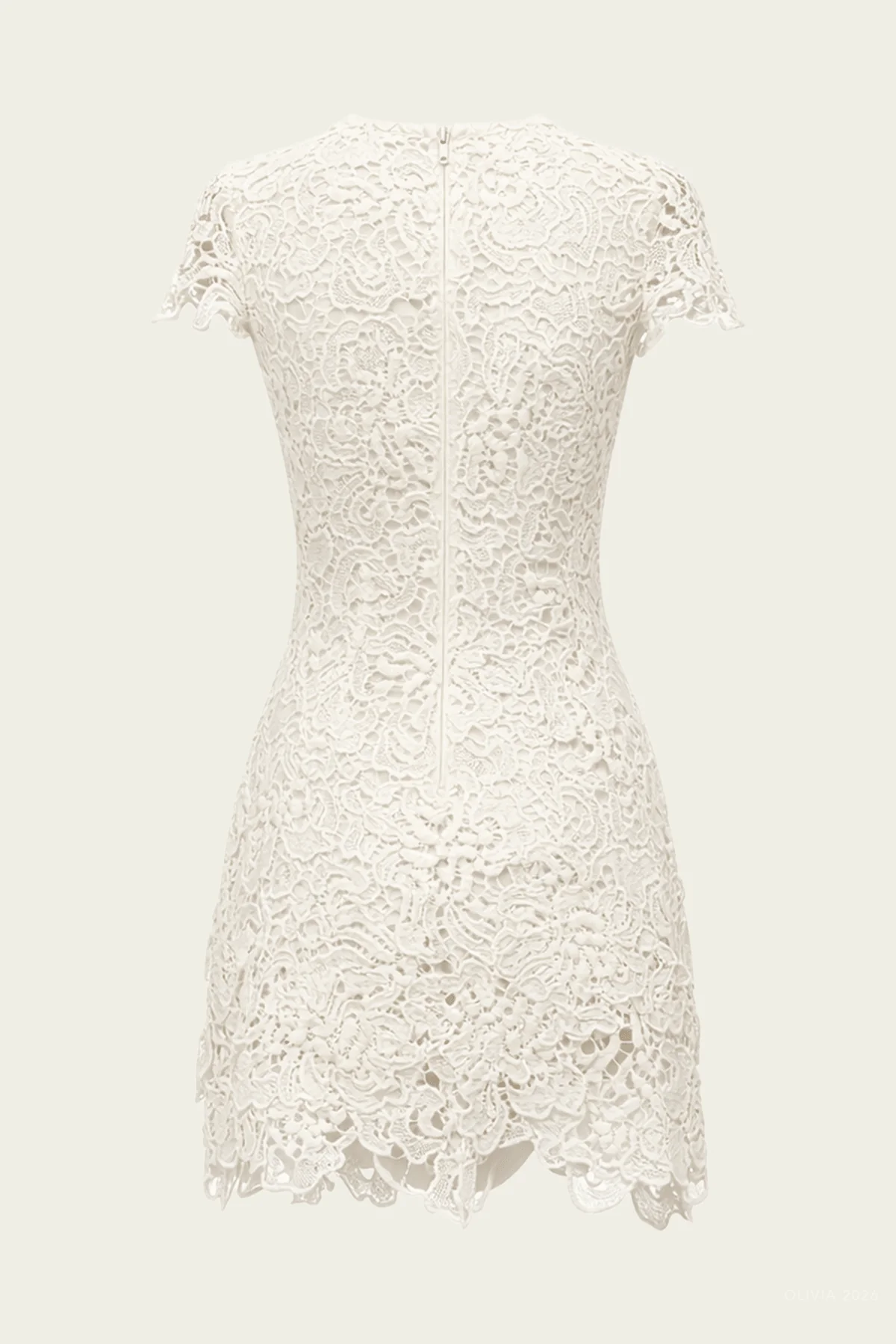 Novelle Lace Mini Dress in White - Image 5
