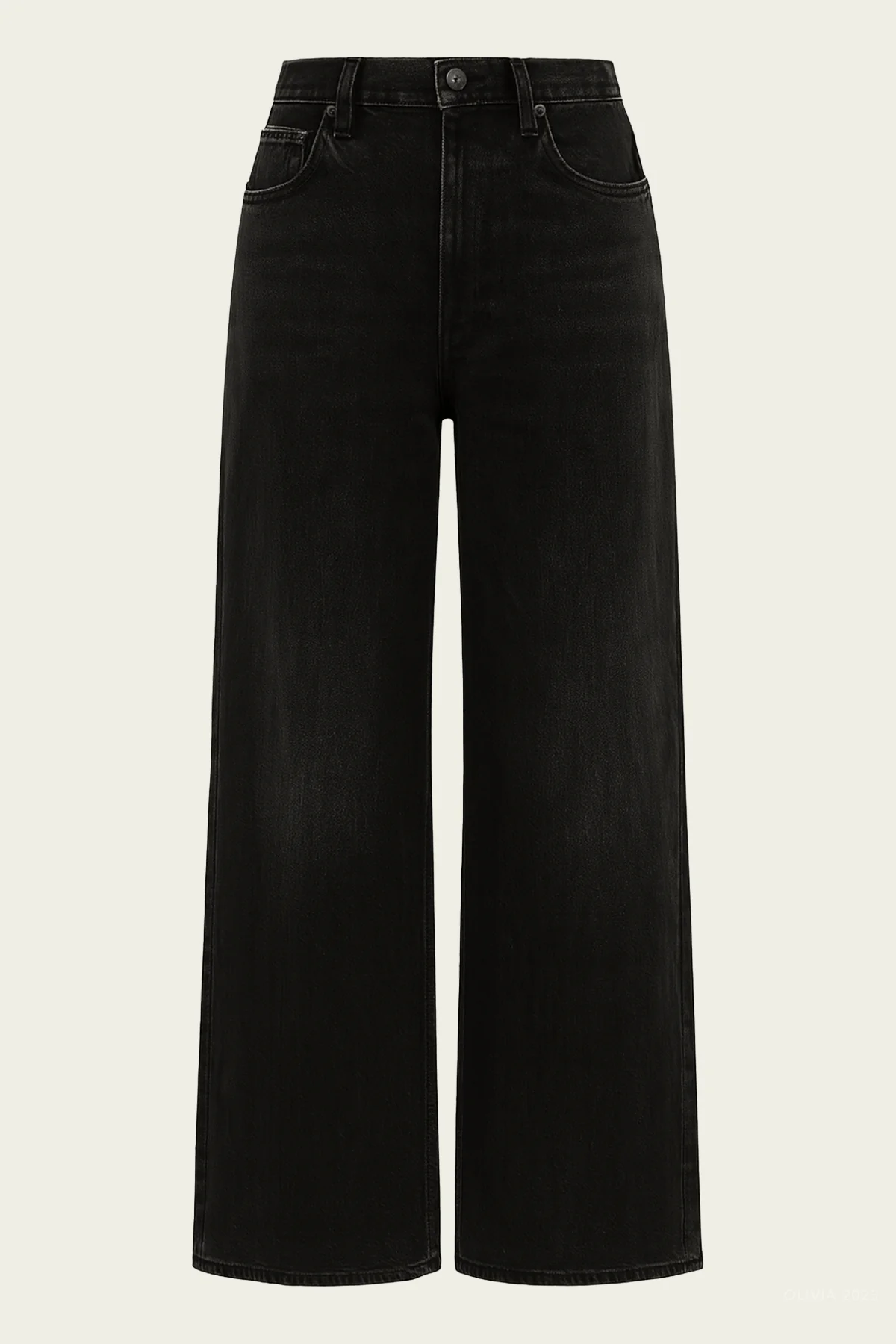 Paloma Baggy in Raine
