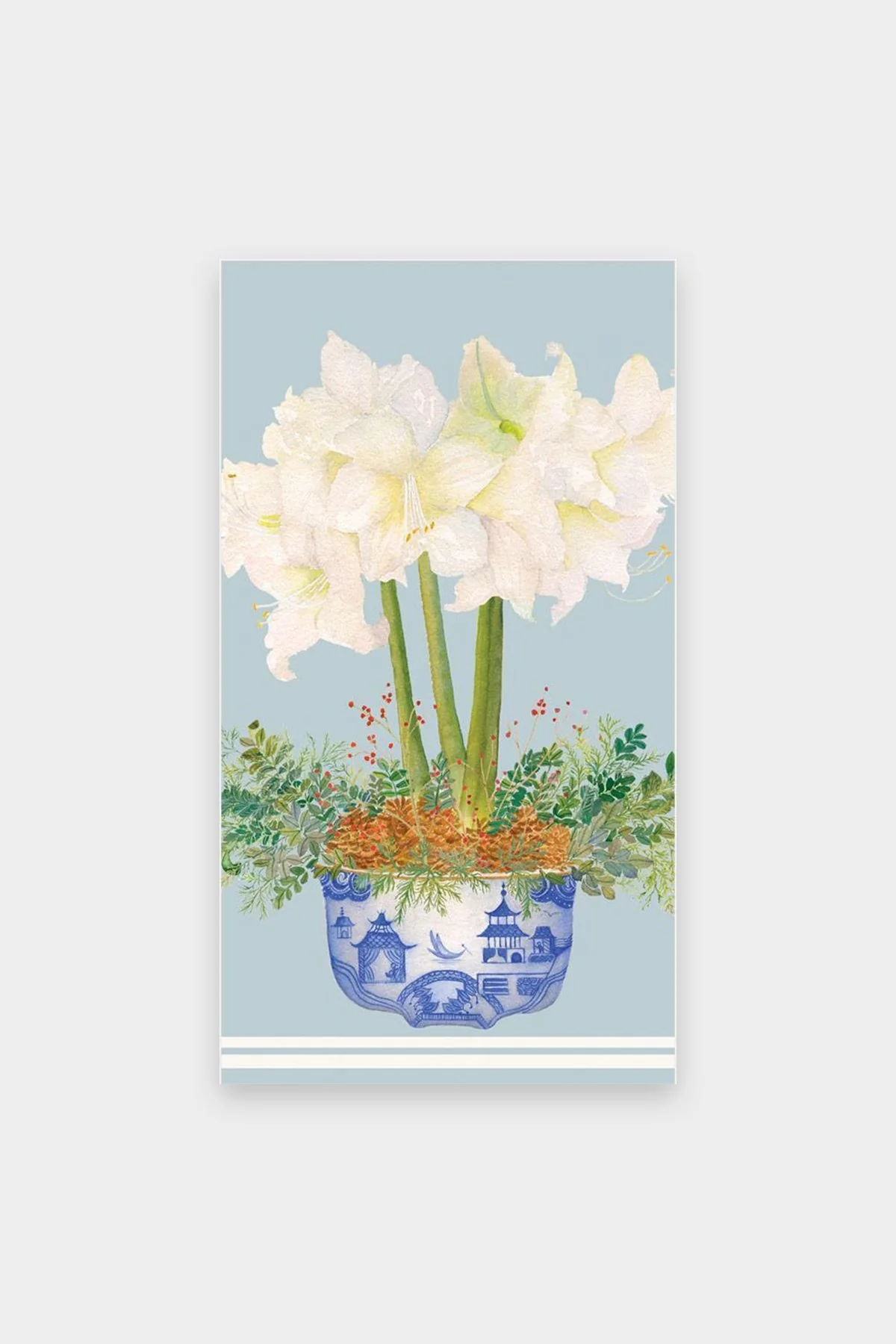 Potted Amaryllis Paper Guest Towel Napkins in Pale Blue