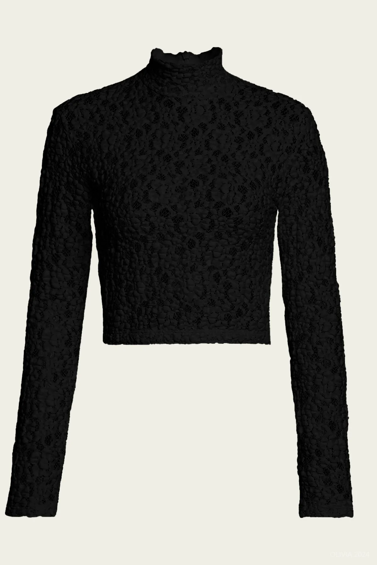 Puckered Lace Cropped Mockneck