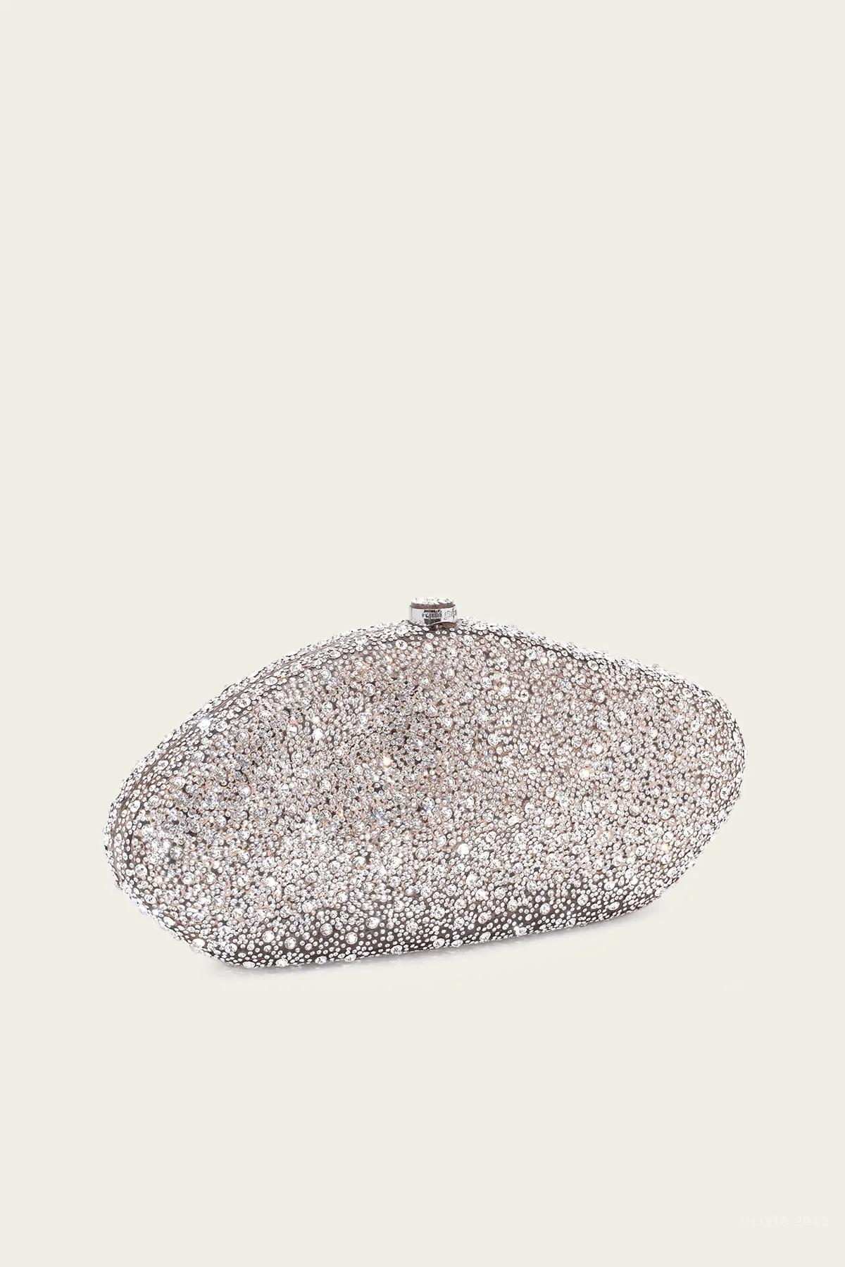The Caldera Clutch in Clear - Image 2