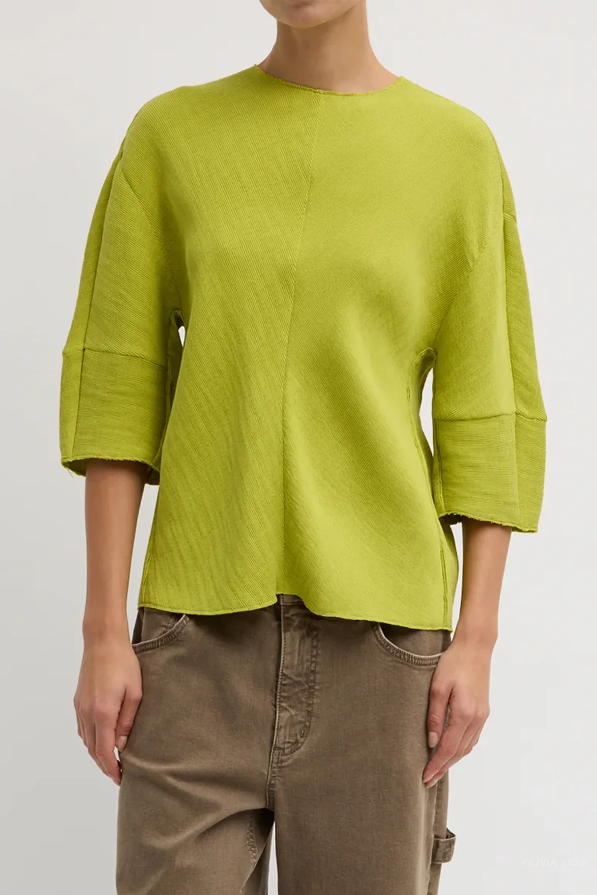 Viscose Plisse Hinged Short Sleeve Top in Pea Pod - Image 2